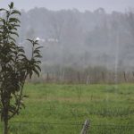 Alerta Amarilla de Inumet por Lluvias Intensas en el Litoral Oeste