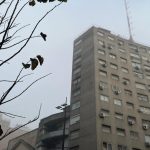 Visibilidad muy reducida por niebla y humedad de 100%: así comenzó el sábado y este es el pronóstico