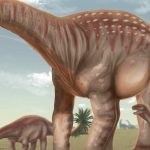Descubren en Paysandú el Mesetasaurus Protector, un nuevo gigante prehistórico exclusivo de Uruguay